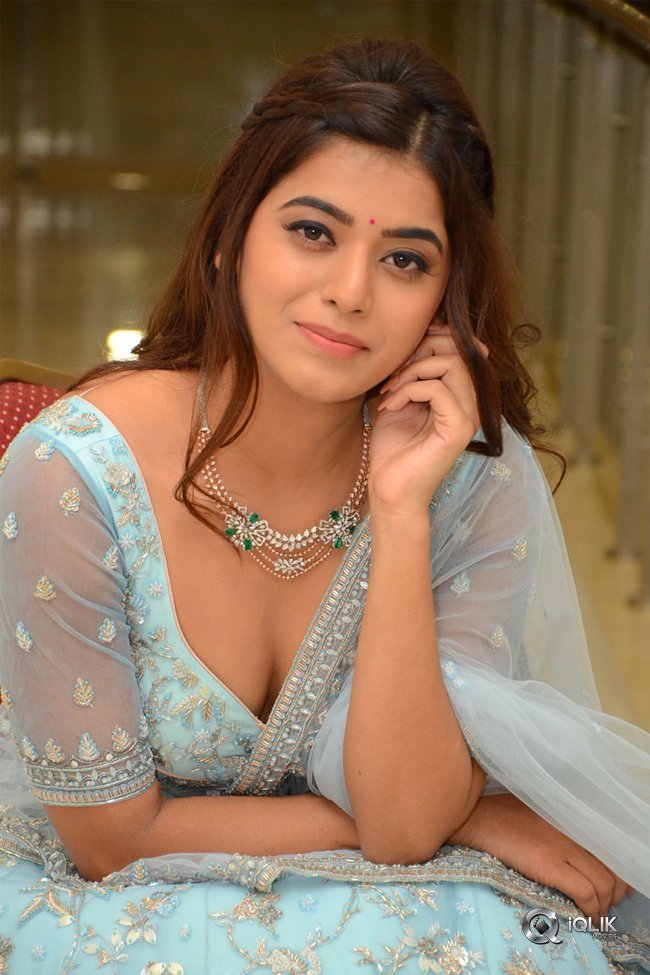 Yamini-at-Nartanasala-Pre-Release-Event